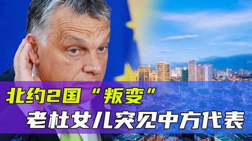 老杜最新爆料消息,揭秘娱乐圈惊人内幕